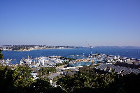 20131116 江ノ島散策 10.jpg