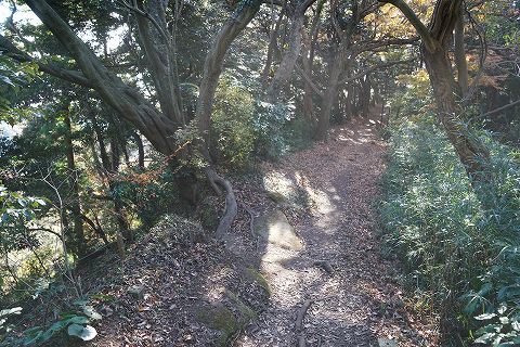 20161211 鎌倉散策 26.jpg