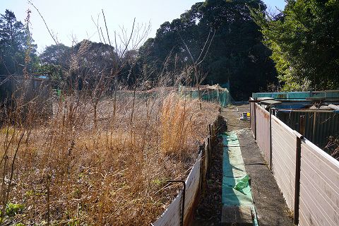 20170128 京急長沢散策 84.jpg