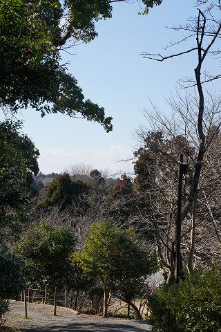 20180212 鎌倉散策 35.jpg