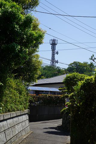 20180428 鎌倉散策 32.jpg