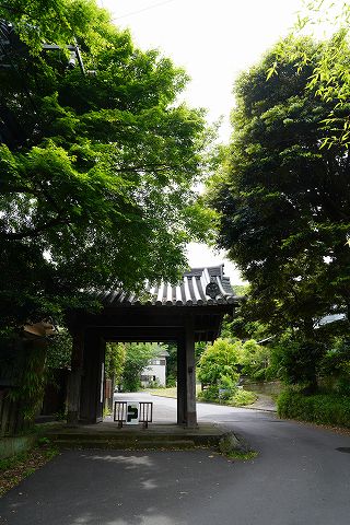 20180512 鎌倉散策 06.jpg