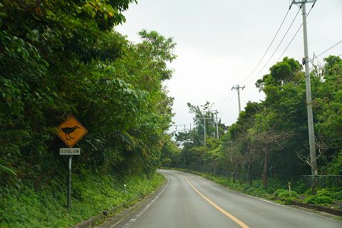 20191229 沖縄の旅 59.jpg