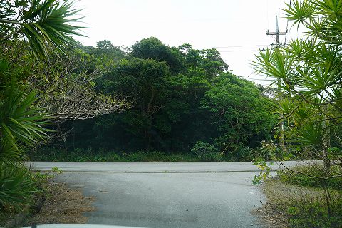 20191229 沖縄の旅 65.jpg