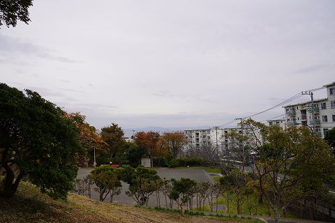20211107 京急長沢散策 49.jpg