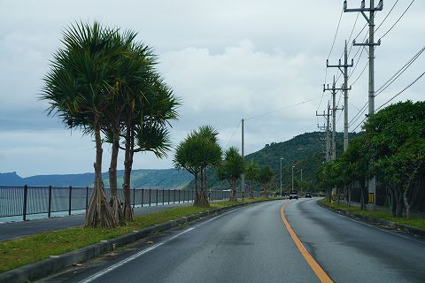 20211229 沖縄の旅 24.jpg