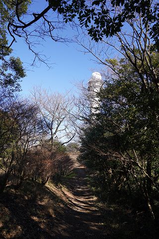 20220104 逗子･葉山散策 15.jpg